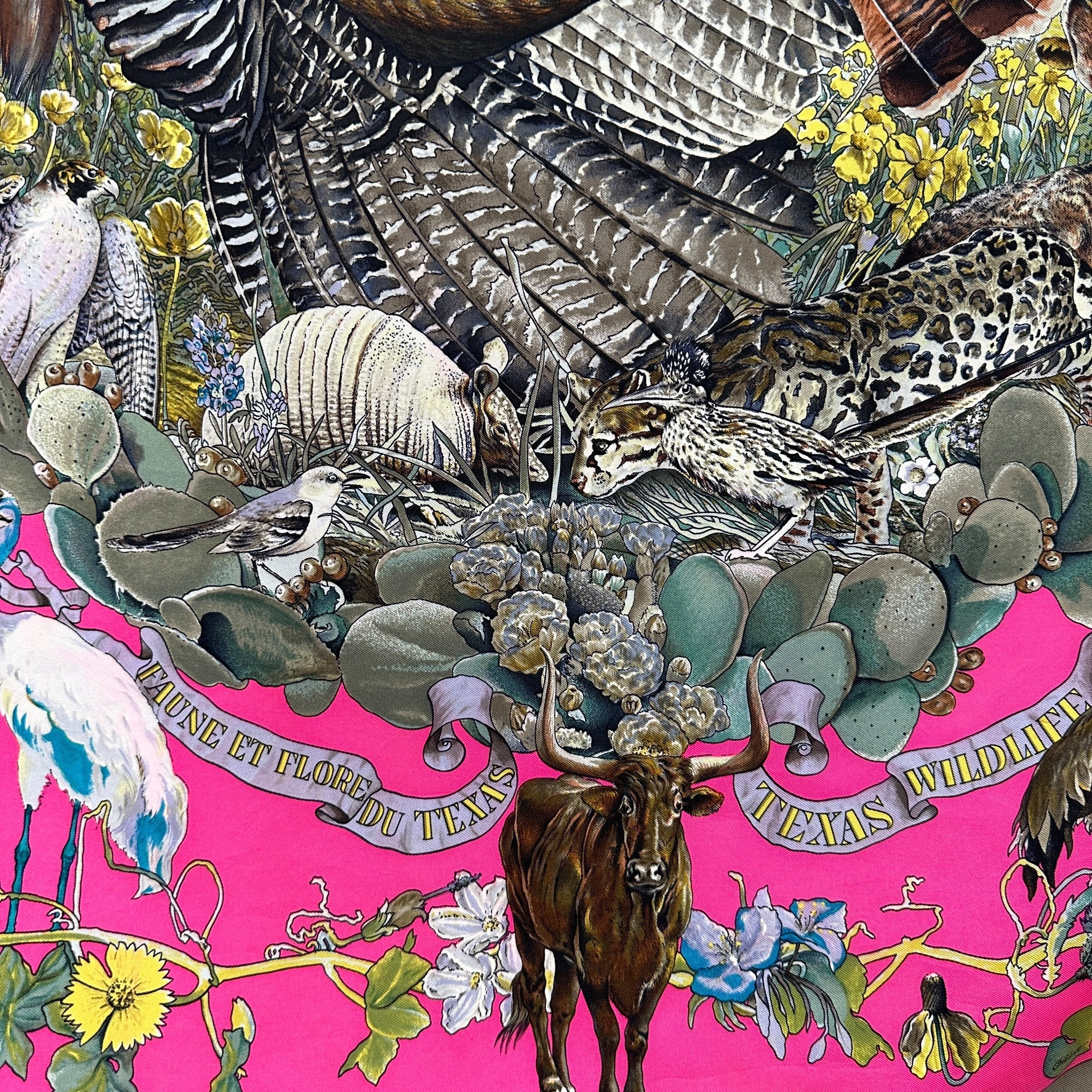 zoom sur le titre du foulard Faune et flore du Texas