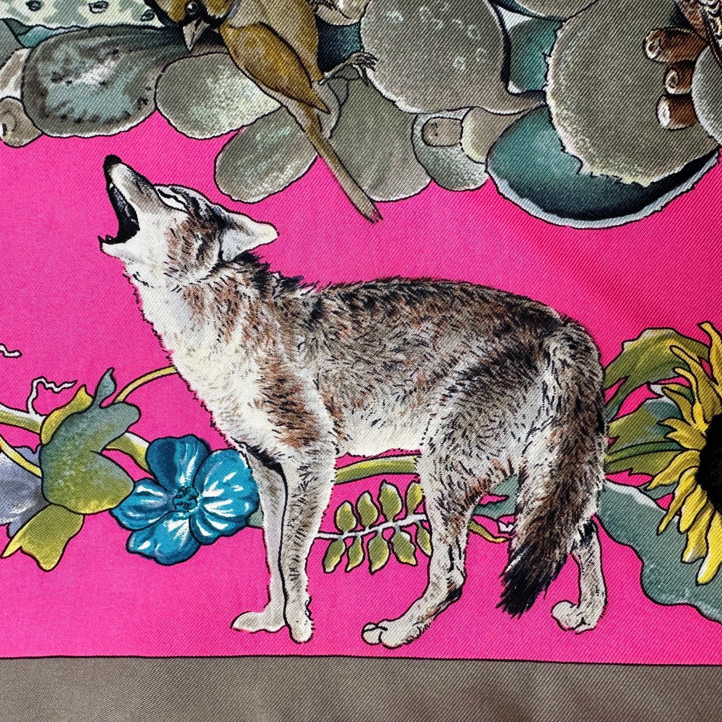 détail de dessin de loup
