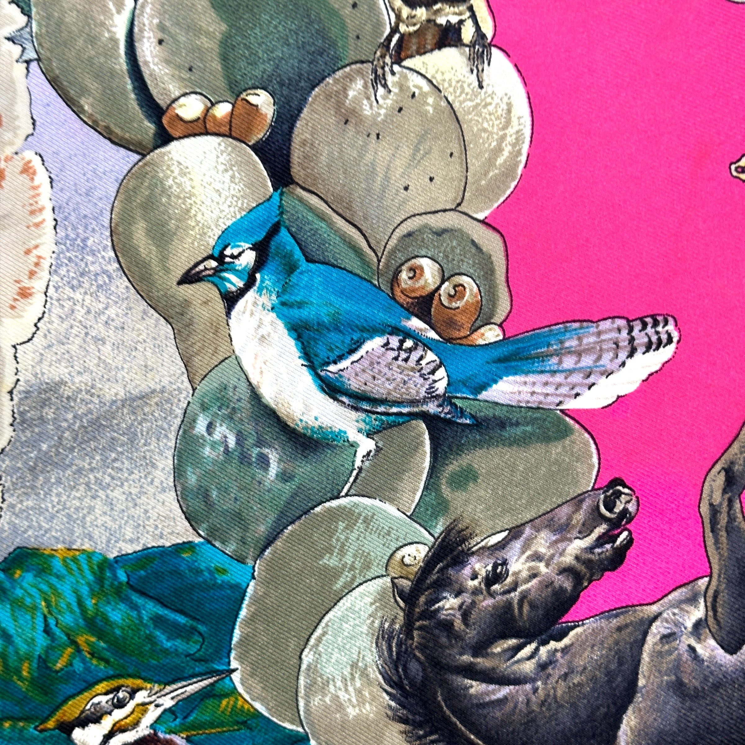 détail d'un oiseau bleu