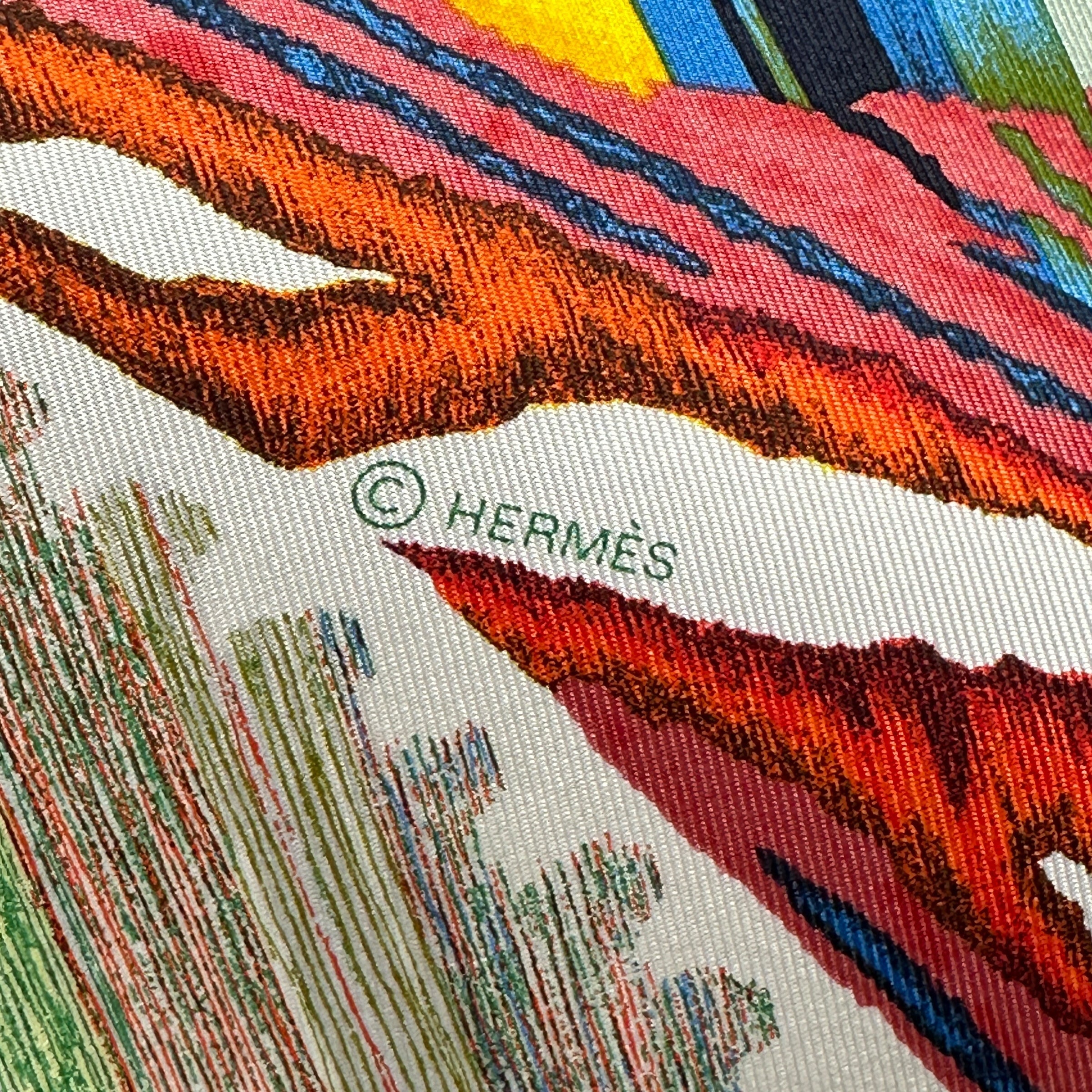 copyright-hermes-sur-Analyzing image foulard-carre-hermes-le-chat-carre-par-florence-manlik