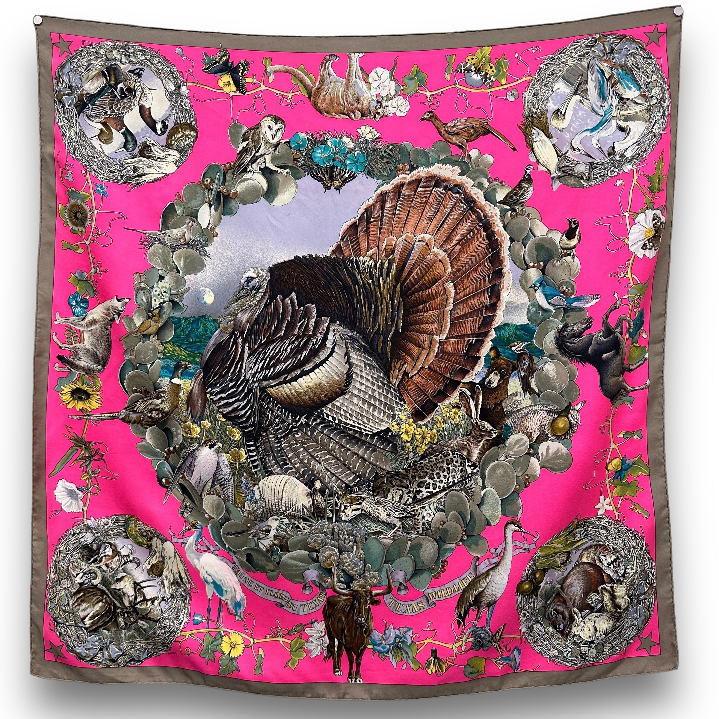 Vue d’ensemble du foulard Hermès Faune et Flore du Texas rose