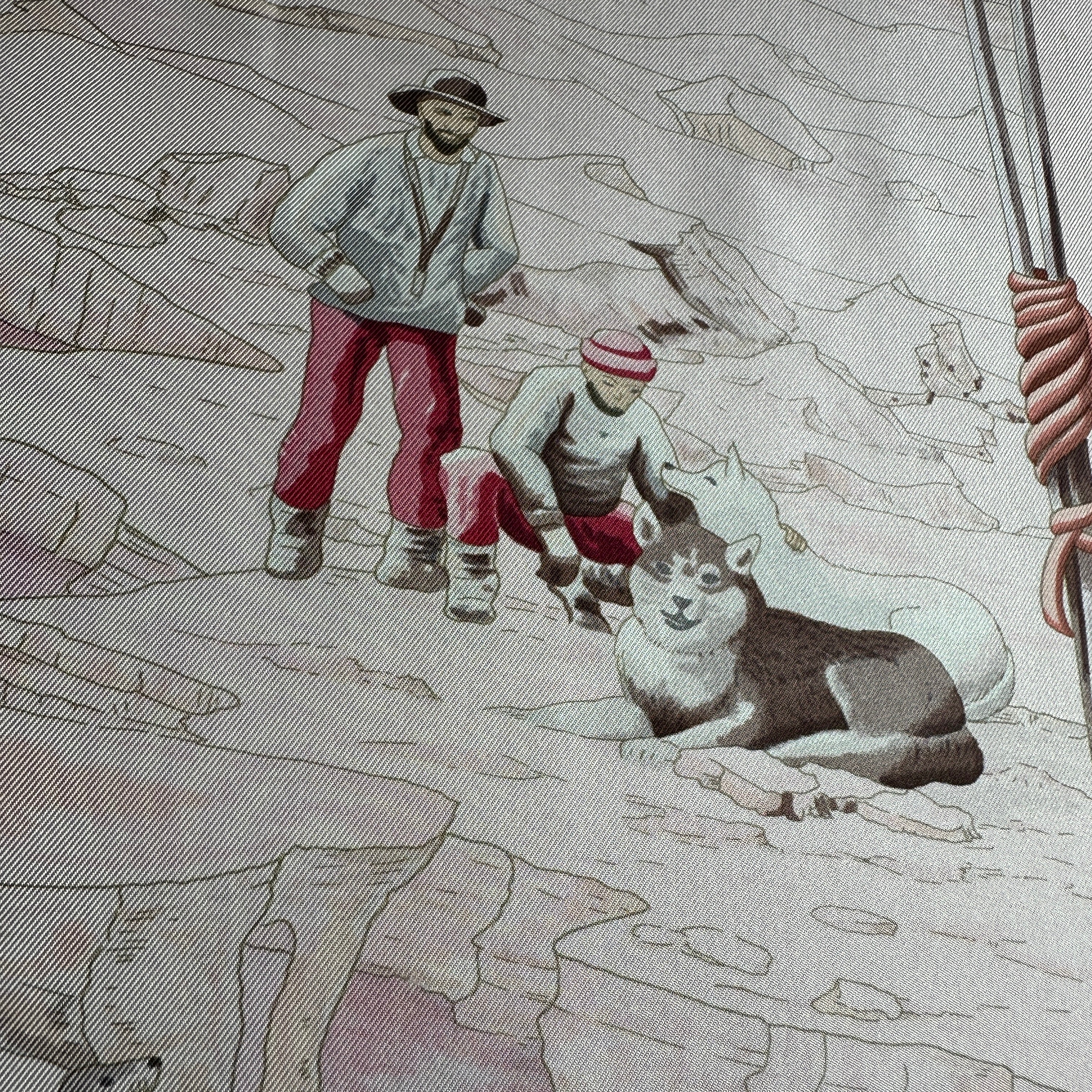 Détail de l'expédition montrant des explorateurs et un chien de traîneau au repos sur la banquise.