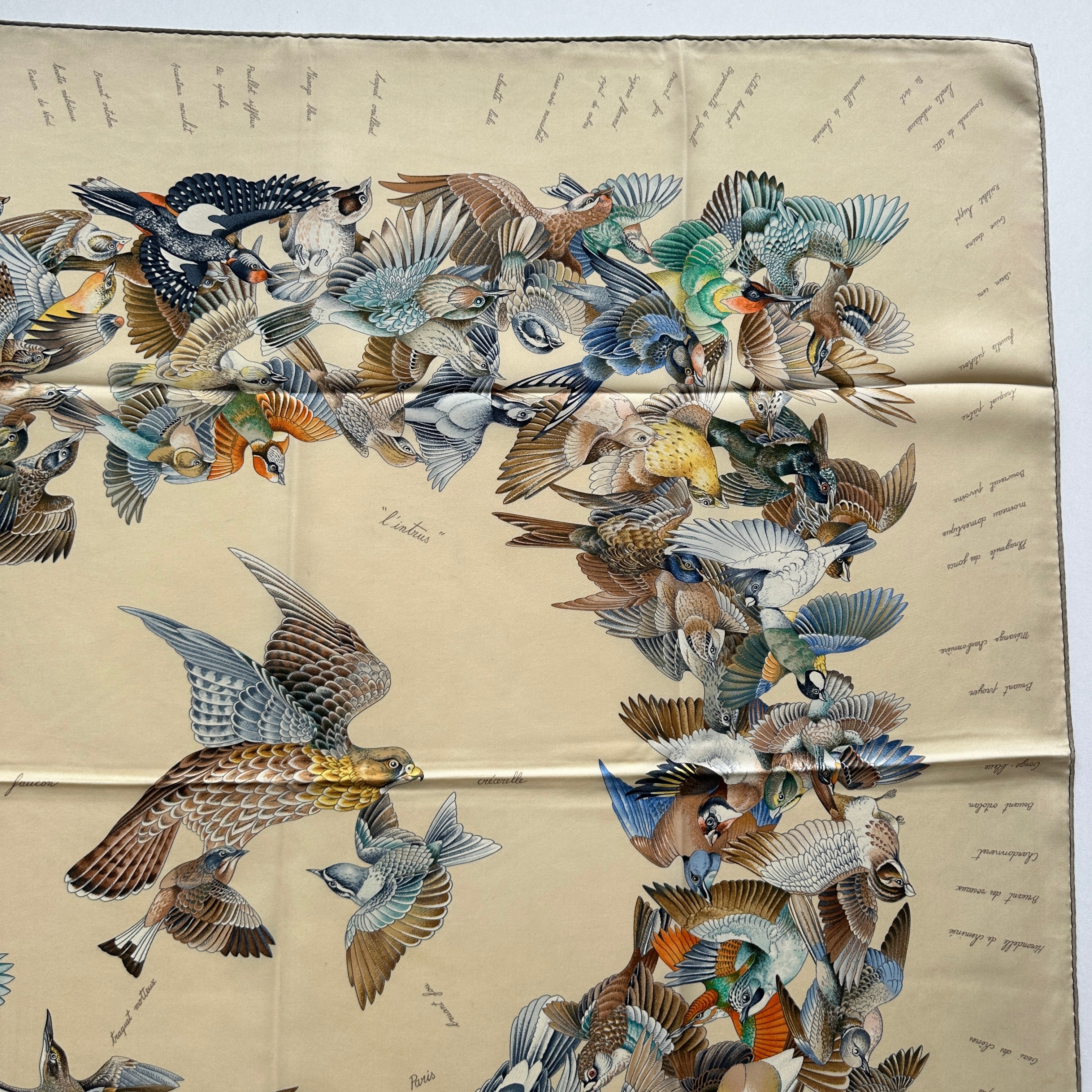Vue rapprochée des passereaux en fuite sur le côté gauche du foulard, avec les noms des oiseaux calligraphiés en arrière-plan.